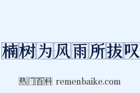 楠树为风雨所拔叹是什么意思的图片